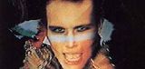 Adam and the Ants