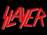 Cel mai tare fan Slayer (video)