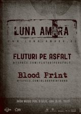 Concert Luna Amara in Irish & Music Pub, Cluj