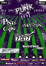 All The Punk Things Fest in Fabrica
