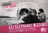 Concert Les Elephants Bizzares, in direct, din Studiourile Radio Guerrilla