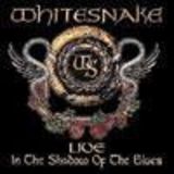 Cronica Whitesnake - Live In The Shadow of Blues