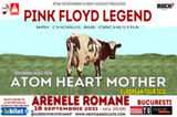 Concert Pink Floyd Legend