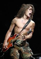 Van Halen implicati in afaceri ilegale, castiguri de un milion de dolari