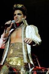 Queen nu renunta la o posibila colaborare cu Adam Lambert