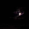 Luna Amara 1 mai Vama Veche (patrupatrupatru)