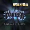 pantera metal 1