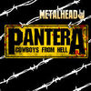 pantera metal 2