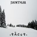 Tacut (single)