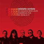 Concert Celelalte Cuvinte in Irish & Music Pub Cluj