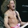 Live footage Van Halen