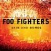 Cronica Foo Fighters - Skin and bones