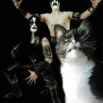 Pisicile se uita la concerte cu Slayer (video)