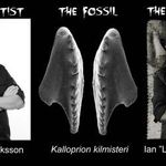 Danemarca gazduieste o expoizite despre fosile si heavy metal
