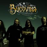 Bucovina, locul 8 in topul international Metal Storm