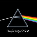 Pink Floyd a lansat un clip live pentru 'Comfortably Numb'