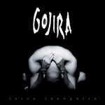 Primul album Gojira, Terra Incognita, va fi re-editat cu trei bonus tracks