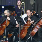 Poze concert Sting in Piata Constitutiei