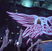 Poze concert Aerosmith in Romania la Bucuresti la Zone Arena at the beginning of