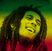 Poze Bob Marley marley 2