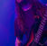 Poze Concert Opeth in Jukebox Bucuresti Opeth
