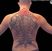 Poze Tatuaje. Modele de Tatuaje (foto) Schelet mare pe spate