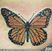 Poze Tatuaje. Modele de Tatuaje (foto) Fluture colorat portocaliu cu negru