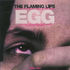 Flaming Lips - The Day They Shot a Hole in the Jesus Egg - Compilation Album