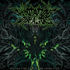 Annotations Of An Autopsy - Before The Throne Of Infection