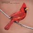 Alexisonfire - Old Crows / Young Cardinals