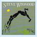 Steve Winwood - ARC OF A DIVER