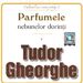 Tudor Gheorghe - Parfumele nebunelor dorinti
