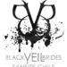 Poze Black Veil Brides - logo