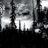 Poze Poze CARPATHIAN FOREST - Misanthropic Black Metal