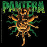 Poze Poze Pantera - FancluB PanterA
