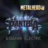 Poze Poze Pantera - pantera metal 1