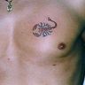 Poze Poze Tatuaje. Modele de Tatuaje (foto) - Scorpion pe piept