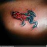 Poze Poze Tatuaje. Modele de Tatuaje (foto) - Broasca rosi si albastra 