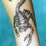 Poze Poze Tatuaje. Modele de Tatuaje (foto) - Scorpion 