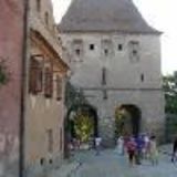 Fara alcool si caini la Festivalul de la Sighisoara