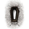 Cumpara Metallica - Death Magnetic (Limited Edition) (CD) Metallica - Death Magnetic (Limited Edition) (CD)