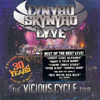 Cumpara Lynyrd Skynyrd - Lyve (DVD) Lynyrd Skynyrd - Lyve (DVD)