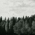 October Falls - A Collapse Of Faith (CD)