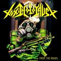 Toxic Holocaust - From The Ashes Of.. (CD)