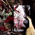 Dark Tranquillity - Mind Is I (CD)