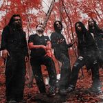 The Breathing Process au lansat un videoclip nou: Vultures