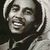 Concertul aniversar Bob Marley anulat din cauza zgomotului
