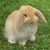 Unde iesim in weekend (2-4 aprilie)
