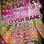 Concert Cover Band in Club 30 din Timisoara Concert Cover Band in Club 30 din Timisoara