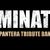 Domination, formatia tribut Pantera, in turneu national Domination, formatia tribut Pantera, in turneu national